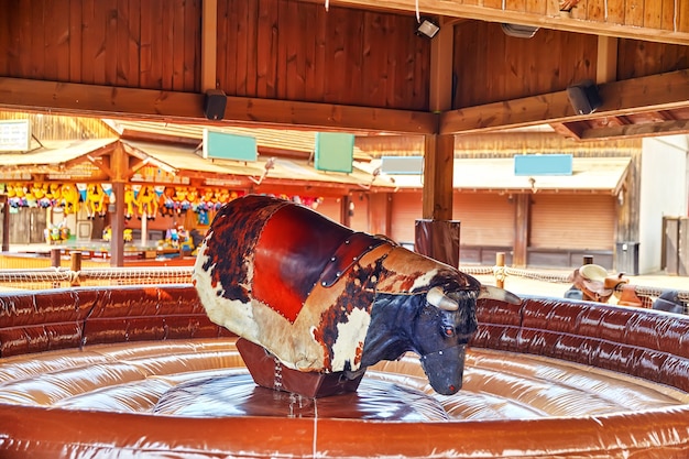 Ride  of the bull in park amusement.