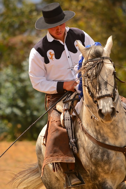 Rider in dressage