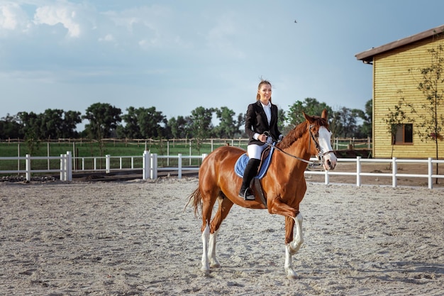 Rider elegant woman riding her horse outside