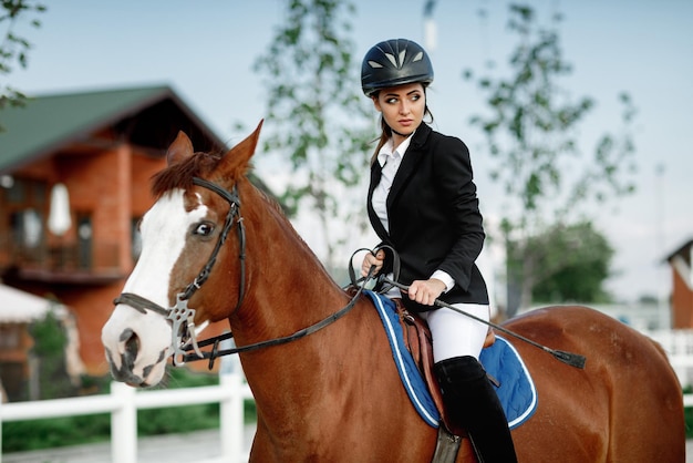 Rider elegante vrouw rijdt op haar paard buiten persoon