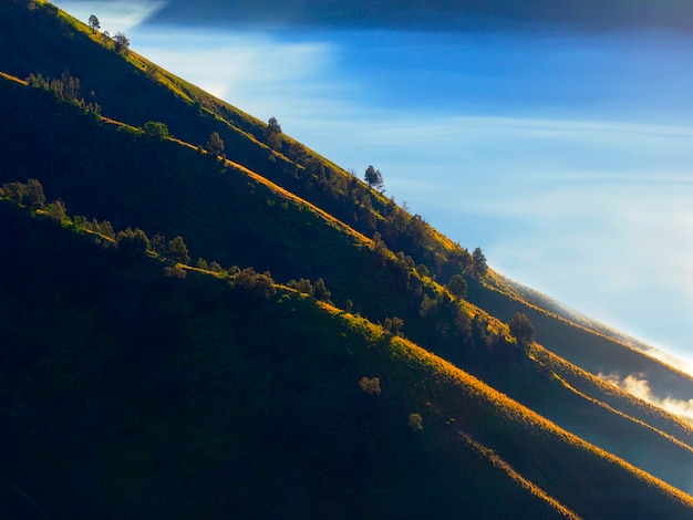 Foto ridge in bromo tengger semeru park