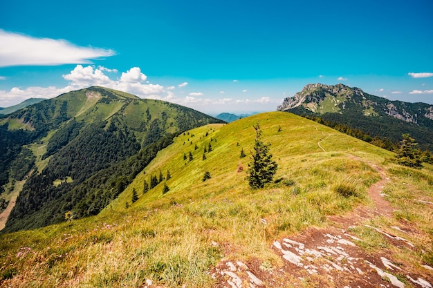 Ridge over de bergen van Slowakije mala fatra Wandelen in het landschap van de bergen van Slowakije Toeristenreiziger Nationaal park Mala Fatra Slowakije Stoh en rozsutec-piek