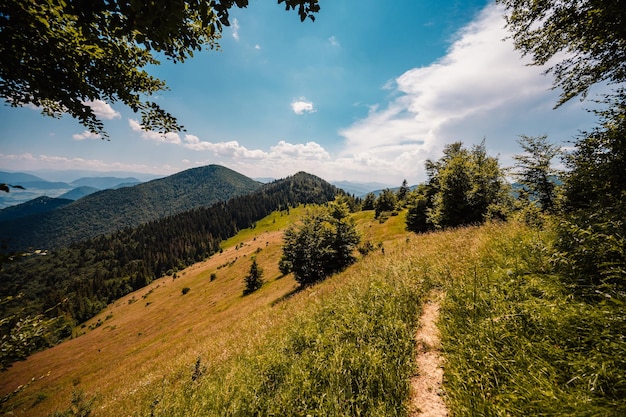 Ridge over the Slovakia mountains mala fatra Hiking in Slovakia mountains landscape Tourist traveler Mala Fatra national park Slovakia