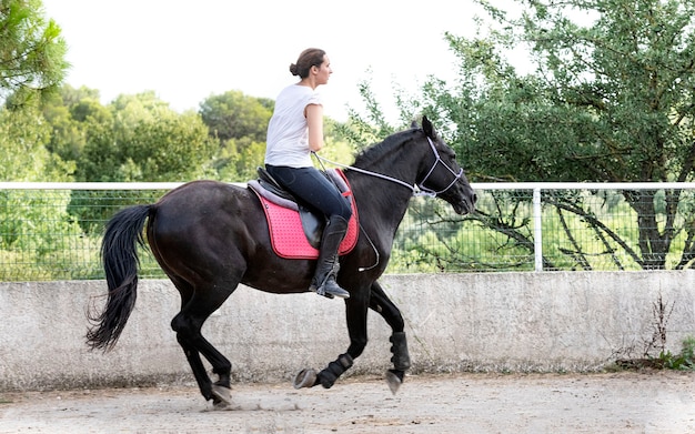 乗馬の女の子は彼女の黒い馬を訓練しています