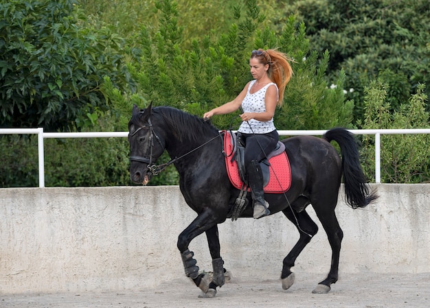 乗馬の女の子は彼女の黒い馬を訓練しています
