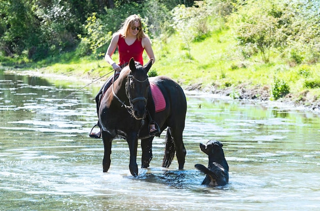 Ragazza di equitazione cane e cavallo nel fiume