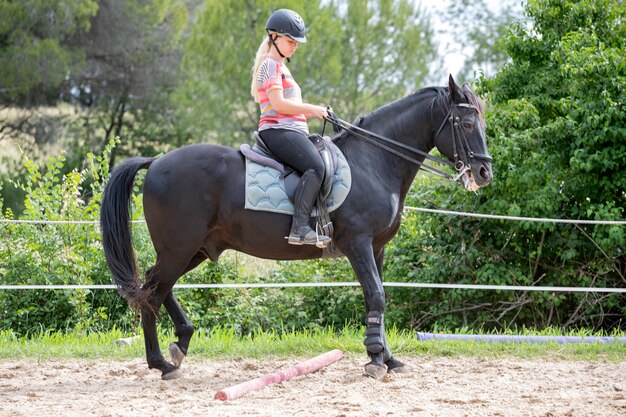Equitazione ragazza e cavallo