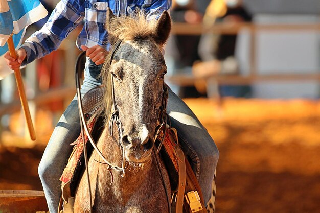 Photo riding  for the group