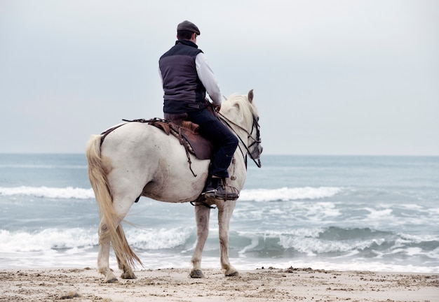 Equitazione uomo e cavallo