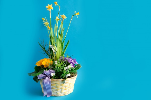 Rieten mand met diverse gekleurde bloemen, sleutelbloem en narcissen.