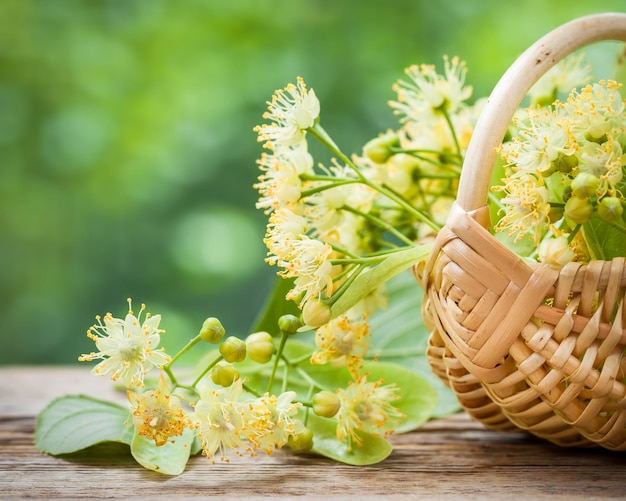 Rieten mand met lindebloesem of limoenbloemen Alternatieve kruidengeneeskunde