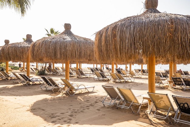 Rieten parasols en ligstoelen op een strand in een idyllisch tropisch resort voor een zomervakantie
