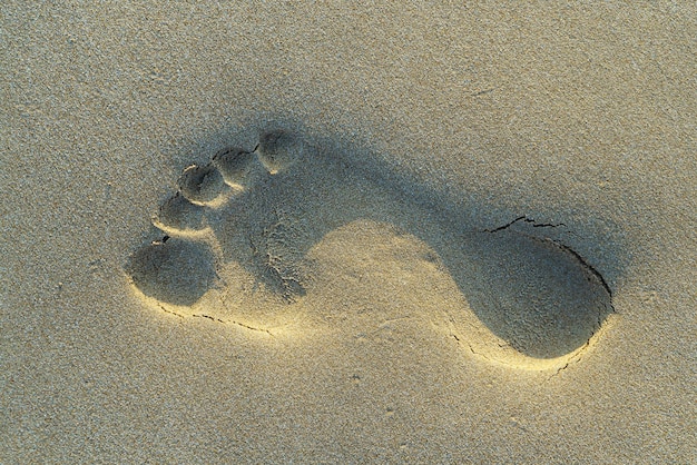 Foto impronta destra di un uomo nella sabbia