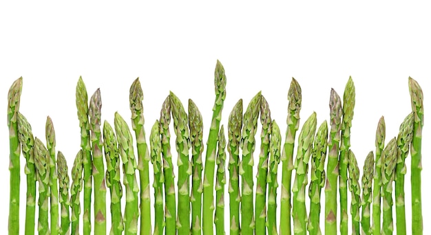 Rij van groene asperges geïsoleerd op een witte achtergrond Kopieer de ruimte