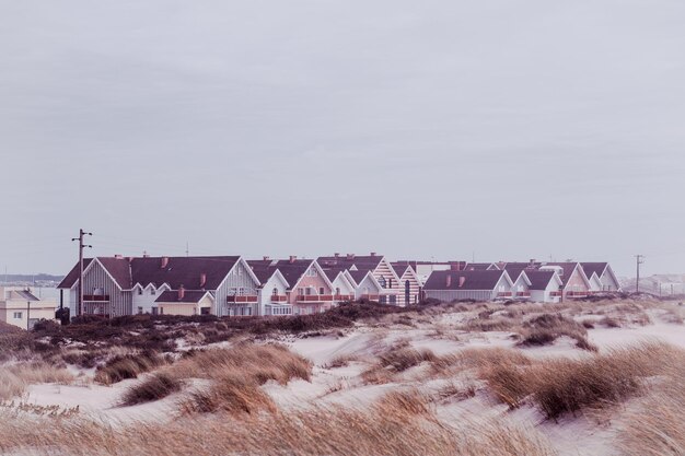 Foto rij van huizen in aveiro