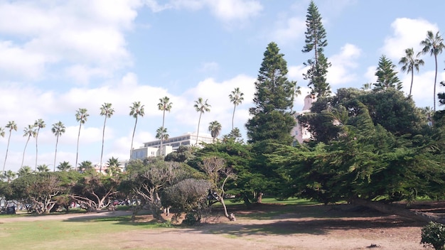 Rij van palmbomen rocky point park in la jolla californië kust usa blauwe lucht