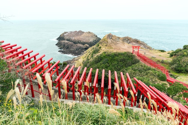 Rij van Torii in Motonosumiinari-schrijn