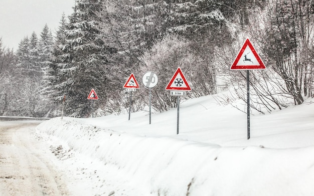Rij van waarschuwingsbord op gevaarlijk deel van bosweg, tijdens de winterblizzard. Let op - herten, sneeuw, skids en vallende stenen.