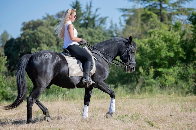 Rijdend meisje en paard