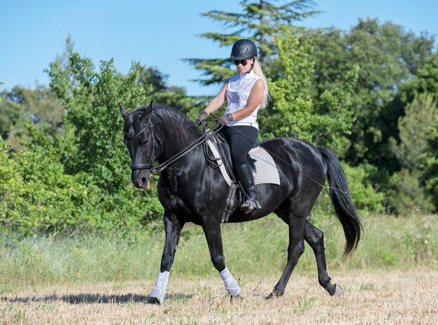 Rijdend meisje en paard