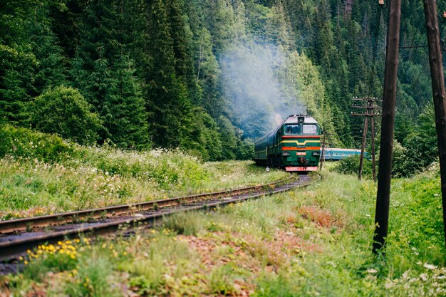 Rijdende trein onder de zomer natuur