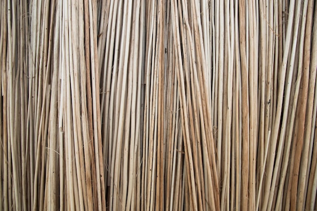 Rijen en rijen bruine Jute Sticks Textuur achtergrond van een veld