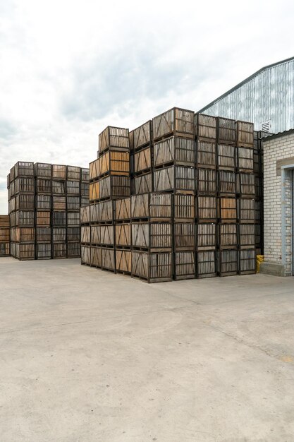 Rijen houten kisten, kratten en pallets voor het opslaan en vervoeren van groenten en fruit in het magazijn voor de productie van magazijnen op het grondgebied van het agro-industriële complex