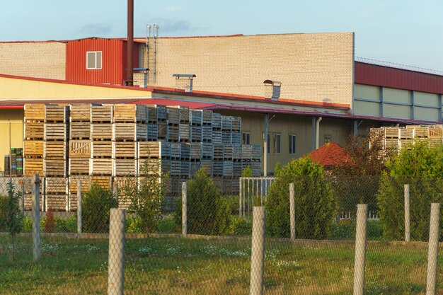 Rijen houten kratten kratten en pallets voor het opslaan en vervoeren van fruit en groenten in het productielager van het magazijn op het grondgebied van het agro-industriële complex