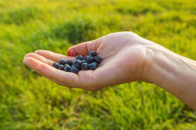 Foto rijke rauwe verse bessen bosbessen in de handen van de vrouwen gezond eten dieet vegetarisch voedsel concept