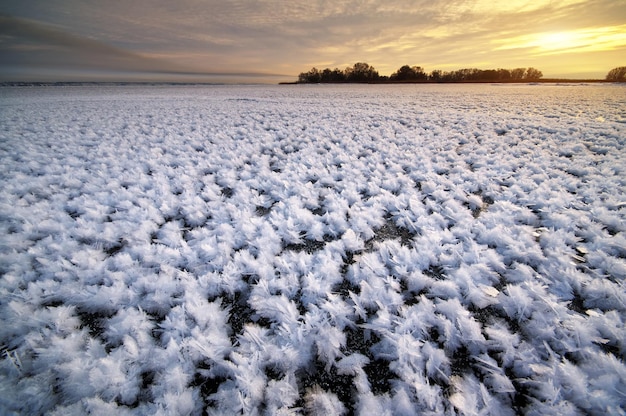 Rijp op bevroren ijs. Natuur samenstelling.