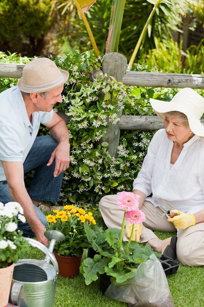 Rijp paar dat in de tuin werkt