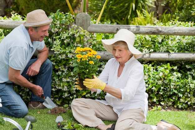 Rijp paar dat in de tuin werkt