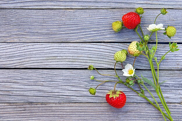 Rijpe aardbeien op bloeiende takje op een houten achtergrond