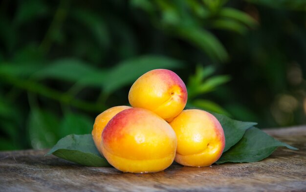 Rijpe abrikozen op een oude tafel, zomer fruit.