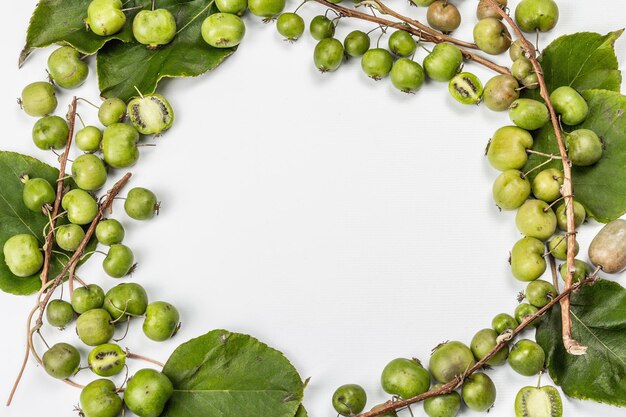 Rijpe Actinidia arguta of kiwi geïsoleerd op een witte achtergrond. Een frame van vers fruit met groene bladeren, mockup, sjabloon