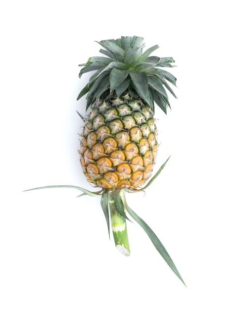 Foto rijpe ananas op witte achtergrond. het gezonde geïsoleerde voedsel van het ananasfruit