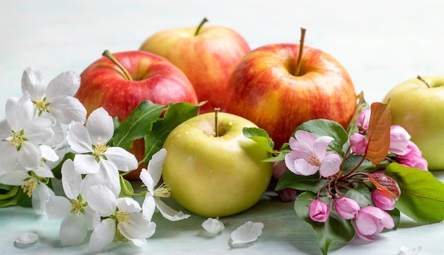 Rijpe appels en roze en witte appelboom bloemen close-up op lichte houten tafel Banner