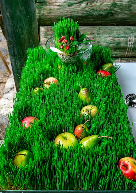 Rijpe appels op groen gras herfst achtergrond