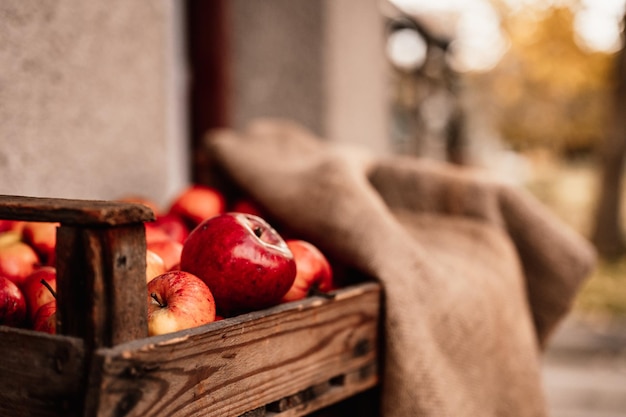 Rijpe bio rode appels in houten kist Uitzicht met ruimte voor je tex Natuur backround