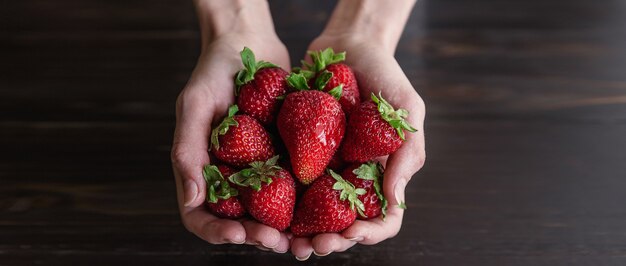 Rijpe biologische aardbeien in handen op een rustieke houten rustieke achtergrond