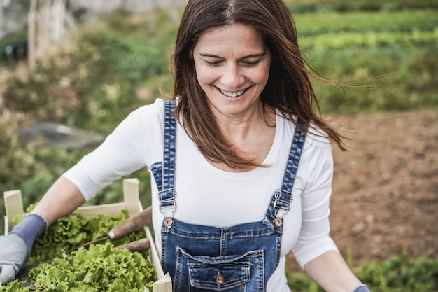 Rijpe boer vrouw met houten kist met verse biologische sla - Focus op gezicht