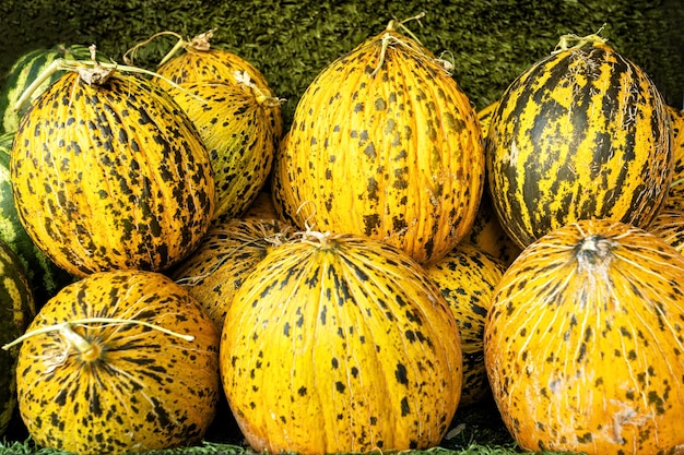 Rijpe gele meloenen op de markt