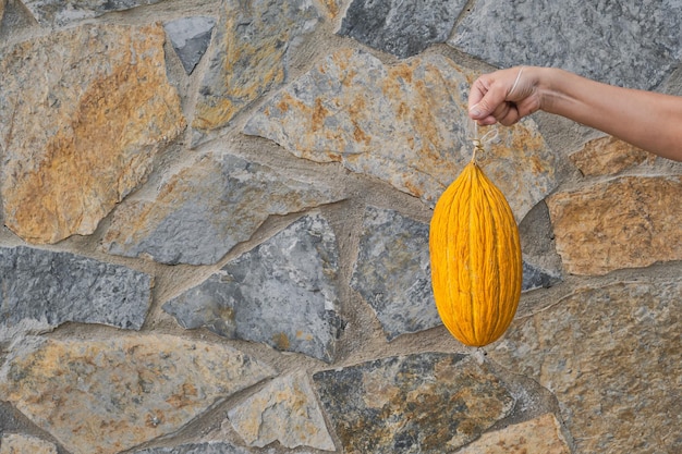 Rijpe gele turkse meloen in de hand van een meisje tegen een achtergrond van een ruwe grijze stenen muur met kopieerruimte seizoensfruit van een boerenmarkt