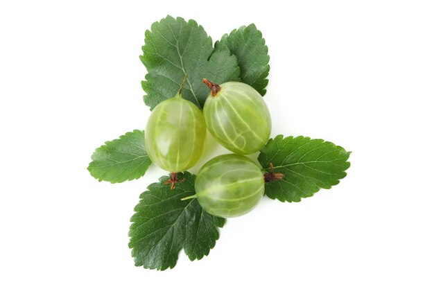 Rijpe groene kruisbes geïsoleerd op een witte achtergrond