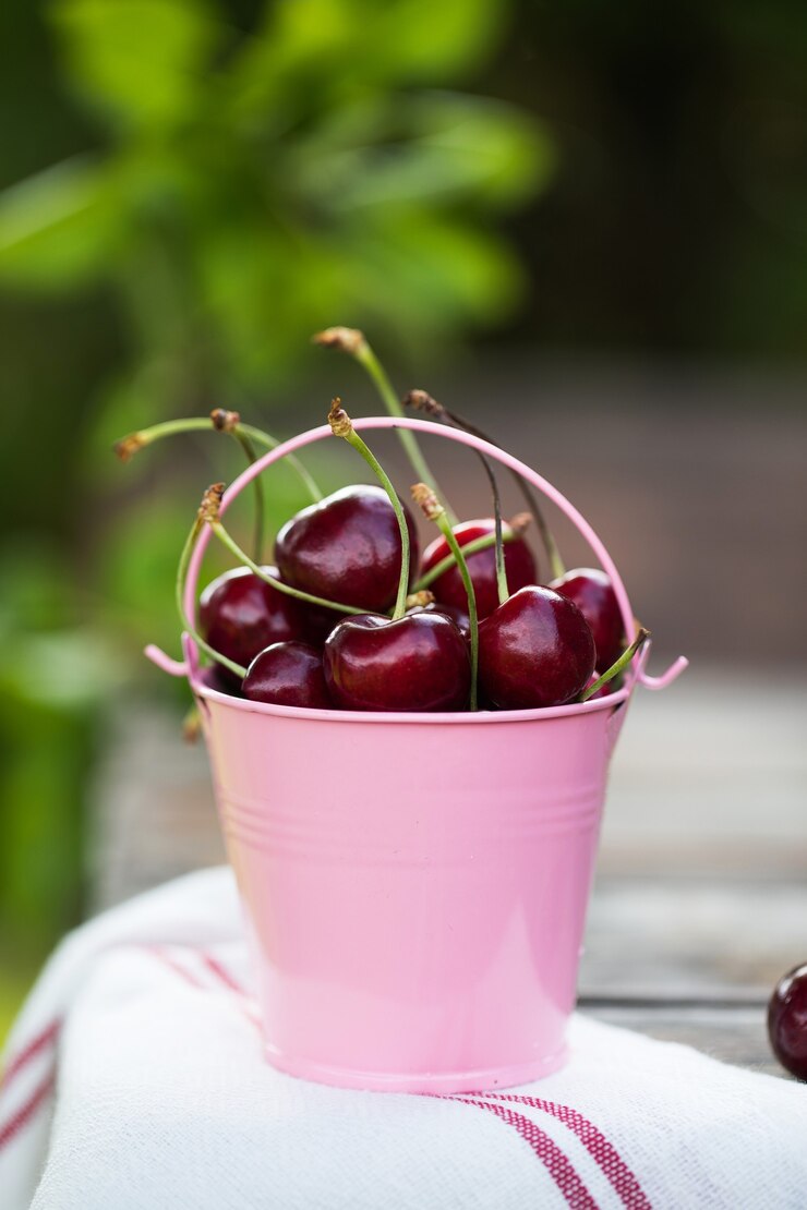 Rijpe kersen in een metalen roze emmer in een groene tuin met kopieerruimte