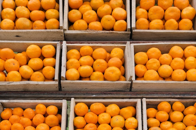 Rijpe mandarijnen in houten kisten staan op een rij.