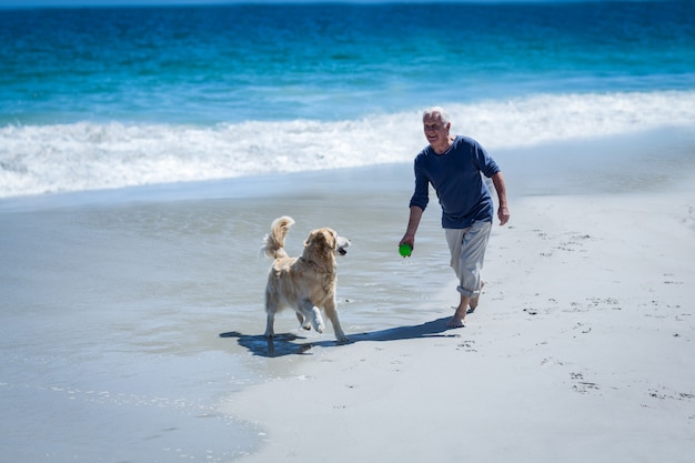 Rijpe mens die een bal werpt aan zijn hond