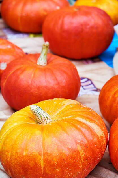 Rijpe oranje pompoenen achtergrond