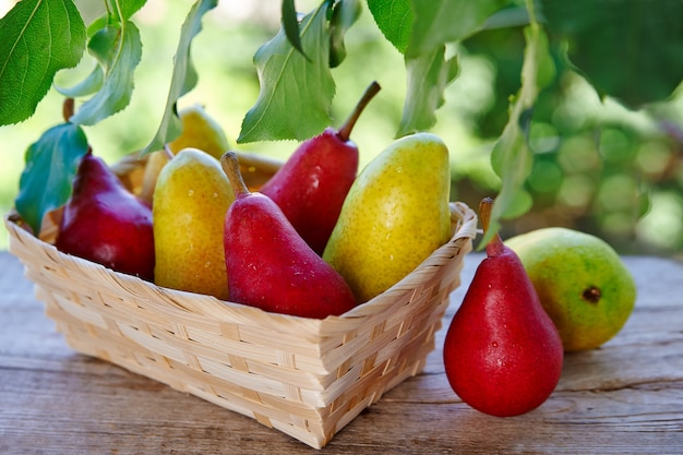 Rijpe peren in een mand op een houten tafel op een natuurlijke achtergrond van gebladerte