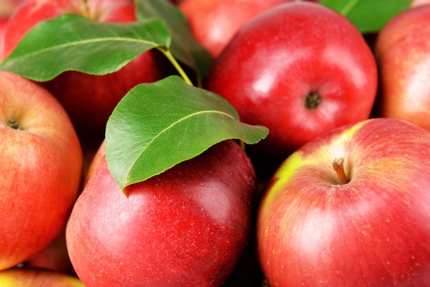 Rijpe rode appels close-up